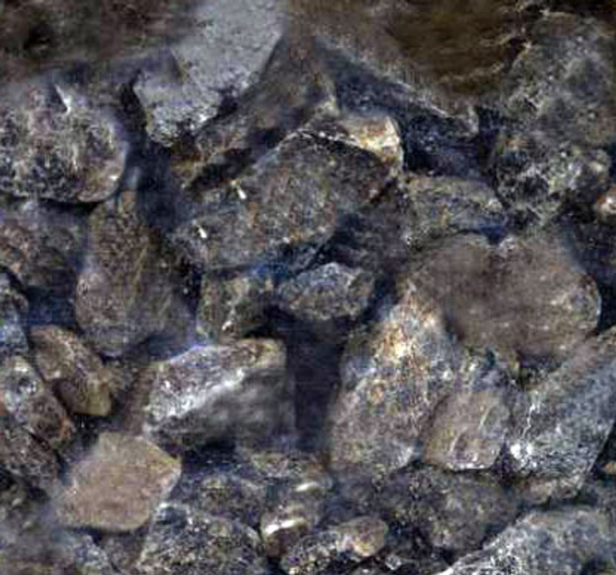 Kandissukker, mørkt 1 kg